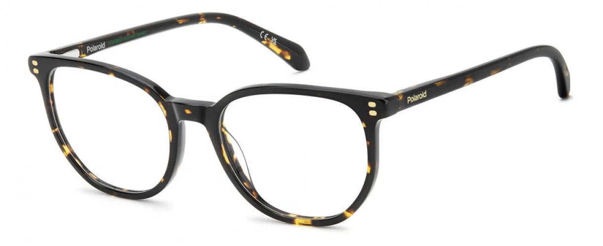 Polaroid Core PLDD633 Eyeglasses - view 5